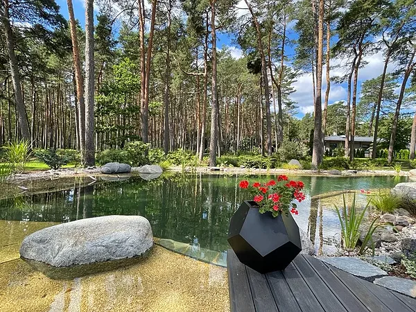 Lieli akmeņi dārza kompozīcijā pie ūdens un apstādījumiem